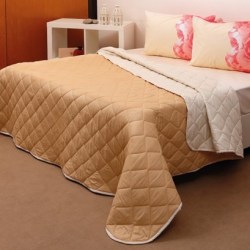 ΚΟΥΒΕΡΤΩΡΙΟ-MICROFIBER-ΜΠΕΖ-ΕΚΡΟΥ_583x58395